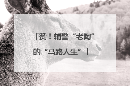 赞！辅警“老陶”的“马路人生”