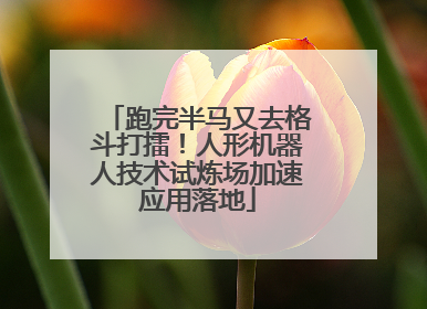 跑完半马又去格斗打擂！人形机器人技术试炼场加速应用落地
