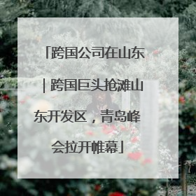 跨国公司在山东｜跨国巨头抢滩山东开发区，青岛峰会拉开帷幕