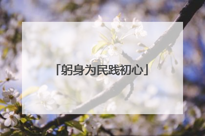 躬身为民践初心