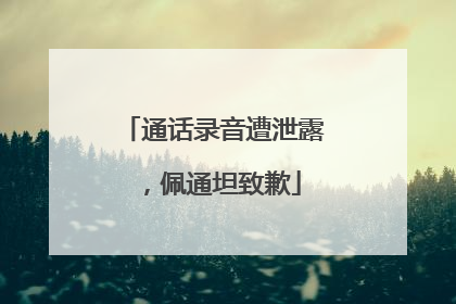 通话录音遭泄露，佩通坦致歉