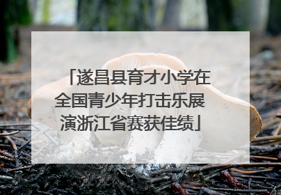 遂昌县育才小学在全国青少年打击乐展演浙江省赛获佳绩