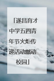 遂昌育才中学五四青年节火炬传递活动燃动校园