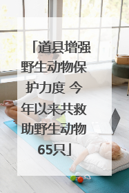 道县增强野生动物保护力度 今年以来共救助野生动物65只