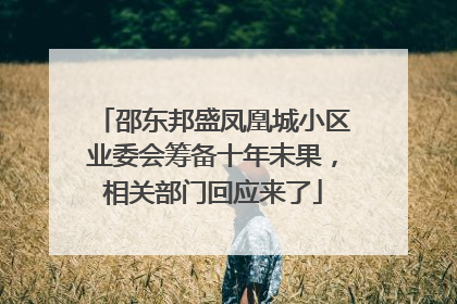 邵东邦盛凤凰城小区业委会筹备十年未果，相关部门回应来了