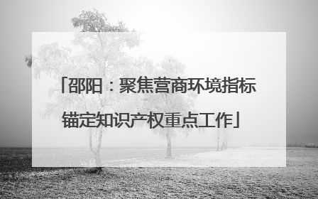邵阳：聚焦营商环境指标 锚定知识产权重点工作