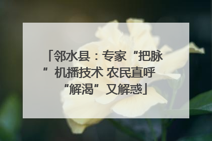 邻水县：专家“把脉”机播技术 农民直呼“解渴”又解惑