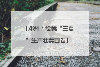 邓州：绘就“三夏”生产壮美画卷