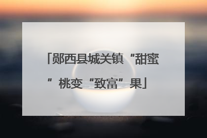 郧西县城关镇“甜蜜”桃变“致富”果