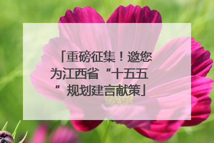 重磅征集！邀您为江西省“十五五”规划建言献策
