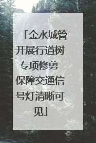 金水城管开展行道树专项修剪 保障交通信号灯清晰可见