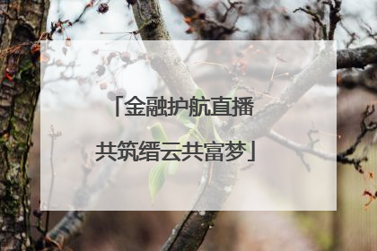 金融护航直播 共筑缙云共富梦