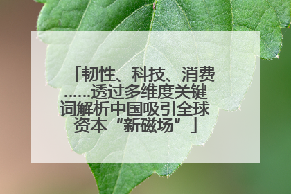 韧性、科技、消费……透过多维度关键词解析中国吸引全球资本“新磁场”