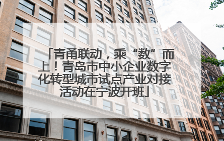 青甬联动，乘“数”而上！青岛市中小企业数字化转型城市试点产业对接活动在宁波开班