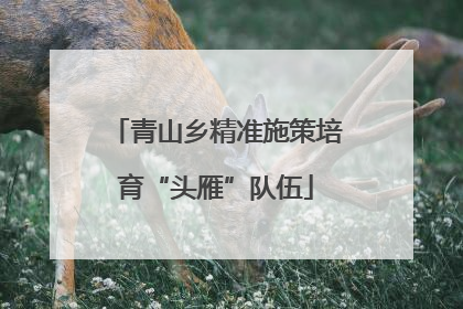 青山乡精准施策培育“头雁”队伍