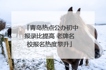 青岛热点公办初中报录比提高 老牌名校报名热度攀升