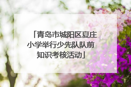 青岛市城阳区夏庄小学举行少先队队前知识考核活动