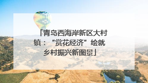 青岛西海岸新区大村镇：“赏花经济”绘就乡村振兴新图景