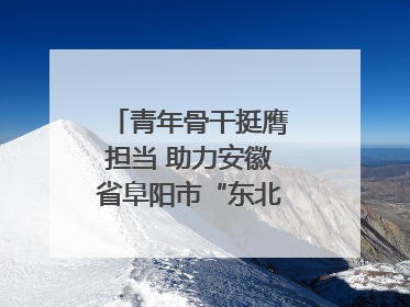 青年骨干挺膺担当 助力安徽省阜阳市“东北大外环”建设