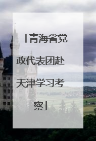 青海省党政代表团赴天津学习考察