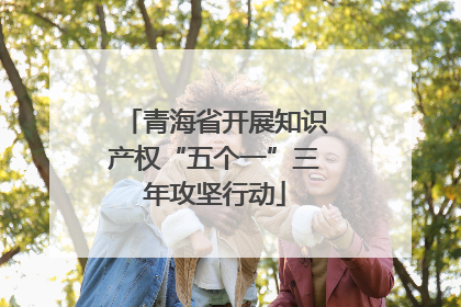 青海省开展知识产权“五个一”三年攻坚行动