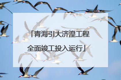 青海引大济湟工程全面竣工投入运行