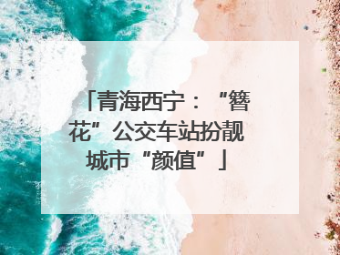 青海西宁：“簪花”公交车站扮靓城市“颜值”