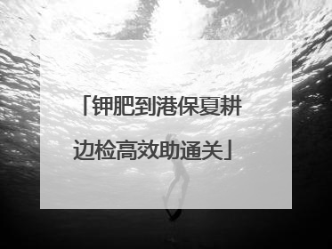 钾肥到港保夏耕 边检高效助通关