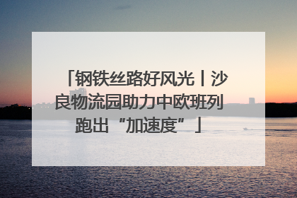 钢铁丝路好风光丨沙良物流园助力中欧班列跑出“加速度”