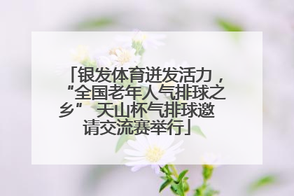 银发体育迸发活力，“全国老年人气排球之乡” 天山杯气排球邀请交流赛举行