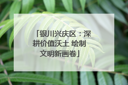 银川兴庆区：深耕价值沃土 绘制文明新画卷