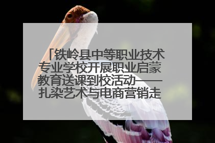 铁岭县中等职业技术专业学校开展职业启蒙教育送课到校活动——扎染艺术与电商营销走进熊官屯镇中心小学