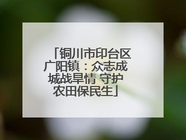 铜川市印台区广阳镇：众志成城战旱情 守护农田保民生