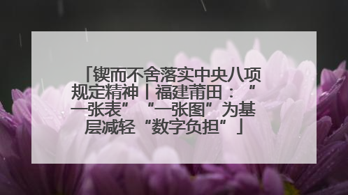 锲而不舍落实中央八项规定精神丨福建莆田：“一张表”“一张图”为基层减轻“数字负担”