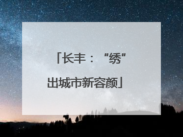 长丰：“绣”出城市新容颜