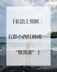 长治上党区：五彩小西红柿成“致富果”