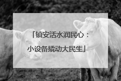 镇安活水润民心：小设备撬动大民生