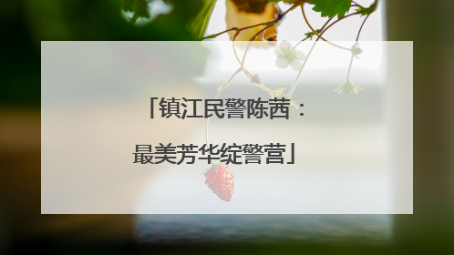 镇江民警陈茜：最美芳华绽警营