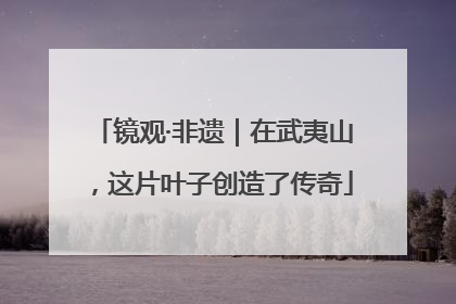 镜观·非遗｜在武夷山，这片叶子创造了传奇