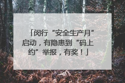 闵行“安全生产月”启动，有隐患到“码上约”举报，有奖！