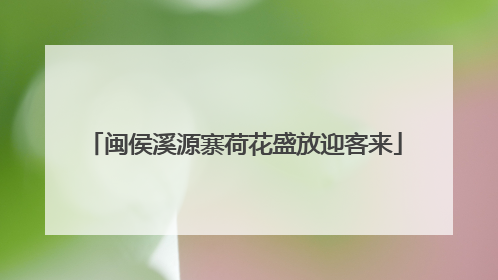 闽侯溪源寨荷花盛放迎客来