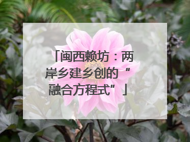 闽西赖坊：两岸乡建乡创的“融合方程式”