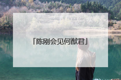 陈刚会见何猷君
