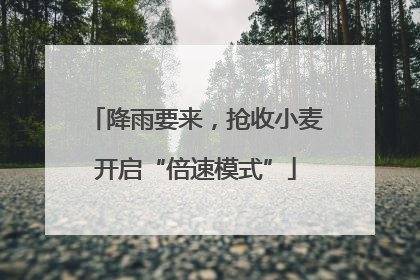 降雨要来，抢收小麦开启“倍速模式”
