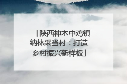 陕西神木中鸡镇纳林采当村：打造乡村振兴新样板