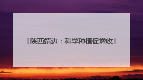 陕西靖边：科学种植促增收
