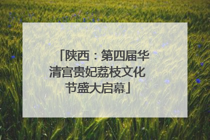 陕西：第四届华清宫贵妃荔枝文化节盛大启幕