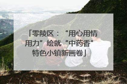 零陵区：“用心用情用力”绘就“中药香”特色小镇新画卷