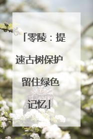 零陵：提速古树保护 留住绿色记忆