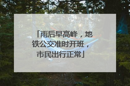 雨后早高峰，地铁公交准时开班，市民出行正常
